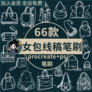 女包手提包挎包双肩单肩包书包钱包钱夹绘画线稿ps/procreate笔刷