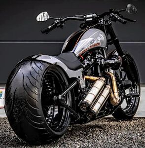 00tb531533983淘宝进口哈雷x48金刚狼883n复古300奔达金吉拉400巡航