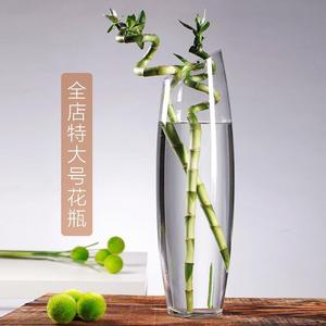 特大号富贵竹花瓶玻璃透明落地大号插花水培银柳水竹50厘米60cm高