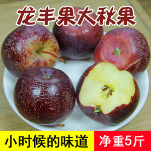 东北龙丰果5斤大秋果东北特产海棠果小苹果丑果新鲜酸甜水果