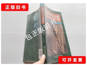 正版旧书e 南京常见野生鸟类图鉴 /常青；胥东