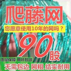 瓜棚网新型加粗爬藤网种植网南瓜百香果葡萄架专用网格网种植网