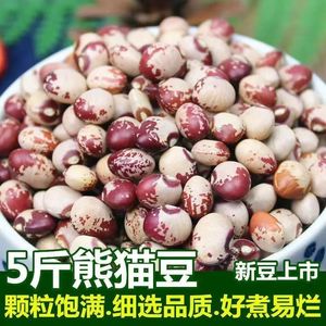 熊猫豆 云南农家自产新鲜饭豆 花豆炖肉煲汤五谷杂粮粥