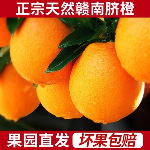 江西赣南脐橙9斤橙子时令应当季水果 新鲜赣州果冻橙冰糖甜橙包邮