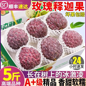 顺丰5斤玫瑰牛奶释迦果新鲜现摘大果当季水果番荔枝牟尼凤梨包邮