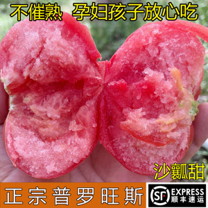 陕西泾阳普罗旺斯西红柿生吃当季自然熟沙瓤番茄新鲜蔬菜孕妇水果