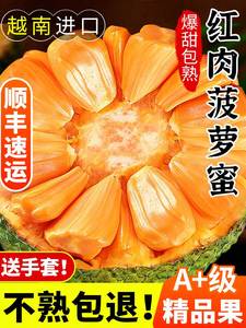 越南进口红肉菠萝蜜8-20斤一整个新鲜水果当季红心波罗蜜顺丰包邮