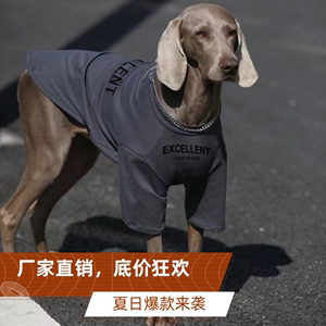 狗狗衣服大型犬夏季薄款帅气潮牌金毛拉布拉多防掉毛宠物衣服夏装