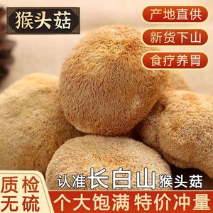 猴头菇干货长白山特级野生猴头菇蘑菇新货500g打粉菌菇煲汤养胃粉