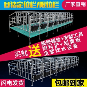 母猪定位栏猪用半限位栏养猪场设备落地定位定制围栏杆猪圈漏粪板
