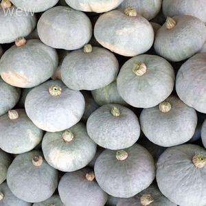 正宗新疆银栗南瓜10斤新鲜银板栗南瓜非贝贝南瓜板栗南瓜时令蔬菜