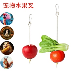 鹦鹉鼠兔水果叉不锈钢蔬菜水果棒玩具吊钩鸟类喂食用夹子鸟笼用品