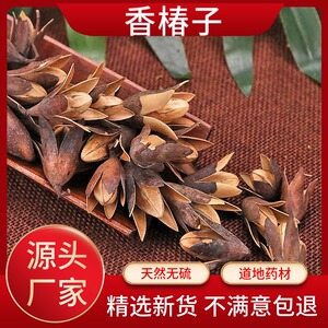 【香椿树果实】香椿树果实品牌,价格 - 阿里巴巴