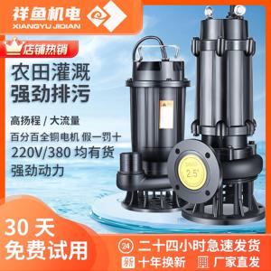 德国日本进口博世潜水泵220v高扬程家用小型地下室污水提升泵抽粪