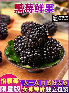 现货新鲜黑树莓云南怡颗树莓鲜果山莓大果每盒125克稀少顺丰包邮