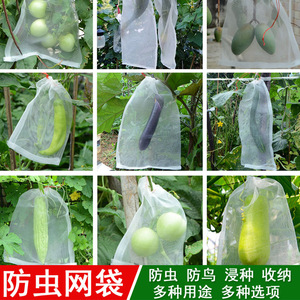 尼龙网袋水果防虫袋防鸟袋水稻浸种袋育种袋纱网袋