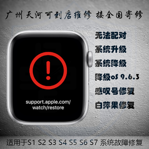 适用于苹果iWatch手表S1/S2/S3/S4/S5/S6/S7/SE系统降级刷机修复