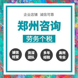 郑州个税代缴代交个人所得税缴纳申报个税咨询跑腿