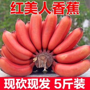 红皮香蕉新鲜当季自然熟漳州小红香焦红美人粉蕉芭蕉大果整箱水果