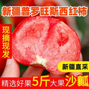 新疆普罗旺斯沙瓤西红柿番茄新鲜水果西红柿自然熟整箱包邮5斤装