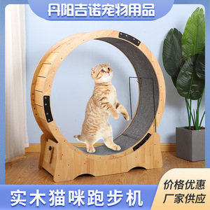 供应宠物运动跑步机大型猫跑步机休闲玩具实木健身滚轮猫咪抓板
