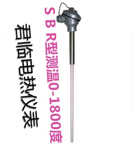 进口S型铂铑热电偶WRP-130/0-1600度高温刚玉管热电偶温度传感器