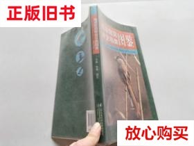 旧书9成新〓南京常见野生鸟类图鉴 常青,胥东 江苏凤凰科学技术出