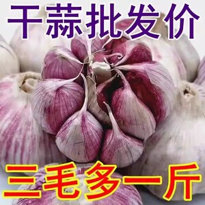 大蒜头5斤/10斤新干蒜大蒜河南农家紫皮新鲜蔬菜大蒜种2斤3斤包邮