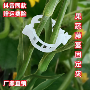 园林夹 塑料番茄夹 爬藤植物固定嫁接 植物夹子园艺夹藤蔓夹