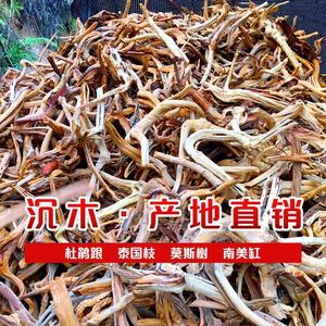 天然杜鹃根泰国枝精品栖根沉木莫斯树水草造景鱼缸装饰树根造景