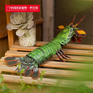 中国国家地理梦巴格 海洋系列拼插纸模雀尾螳螂虾原创拼插