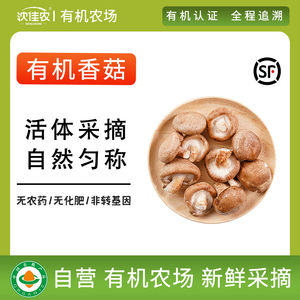 沈佳农有机香菇蔬菜菌菇冬菇营养新鲜家用天然食用无农药煲汤125g