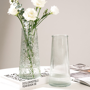 【两件套】ins北欧玻璃花瓶大号透明水养富贵竹桌面客厅插花摆件