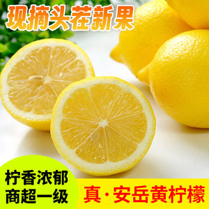 四川黄柠檬6颗/15颗当季新鲜水果