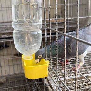 鹦鹉鸽子小鸟饮水器水器食盒鸽子笼鸽笼挂盒饮料瓶自动养殖水槽