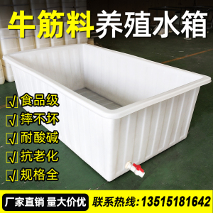 大号加厚牛筋塑料水箱长方形储水桶水产养殖方桶养鱼卖鱼牛筋浅盆