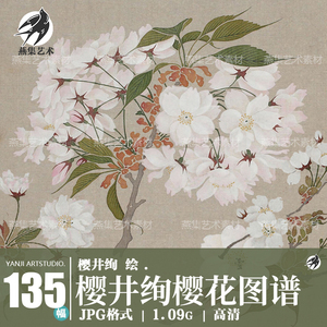 樱花图谱樱井绚绘日本江户时代和风花卉植物绘画设计临摹图片素材