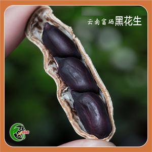 云南西双版纳土特产富硒黑花生有机带壳原味黑花生高产种子籽袋装