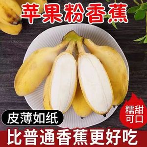 广西苹果蕉香蕉新鲜水果9斤小香芭蕉当季现货米蕉整箱自然熟包邮5