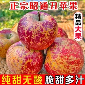 2023现摘昭通丑苹果新鲜红露丑平果绍通冰糖心红富士水果当季整箱