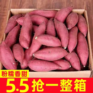 沙地蜜薯新鲜红薯10斤农家香甜薯板栗黄红心烤地瓜糖心小番薯山芋