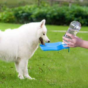 便携式狗狗外出水壶饮水器泰迪金毛随行喂水杯喝水瓶宠物户外用品