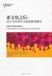 正版包邮亚文化之后对于当代青年文化的批判研究 英班尼特 中国青