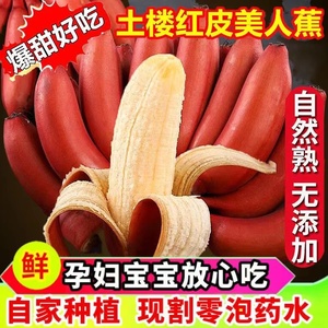 福建漳州红皮香蕉水果红美人应季新鲜水果香甜土楼banana整箱包邮