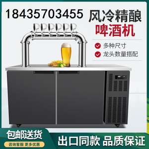 精酿啤酒设备一体机风冷直冷全自动式打酒机定制器机鲜啤机水冷