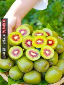 四川红心猕猴桃30枚奇异果当季新鲜孕妇水果整箱蒲江弥猴桃