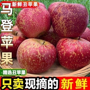 云南大理剑川新鲜新鲜新鲜马登糖心苹果2023当季新鲜丑苹果脆甜红