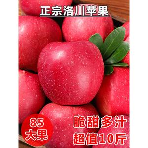 洛川苹果10斤新鲜水果陕西红富士当季整箱包邮冰糖心应季时令丑