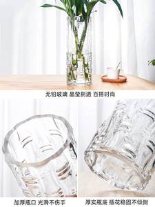 富贵竹专用大号花瓶摆件客厅插花玻璃透明水培绿植竹子转运竹水养