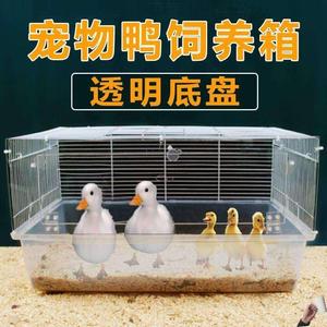 韩式柯尔鸭笼子专用饲养箱垫料发酵床养芦丁鹅宠物鹌鹑鸡鸭笼房子